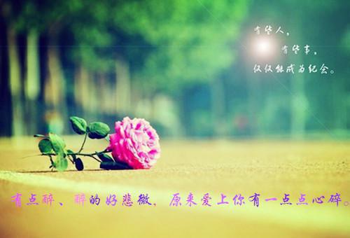 江入年林希娣小说名字免费 归宿章节阅读