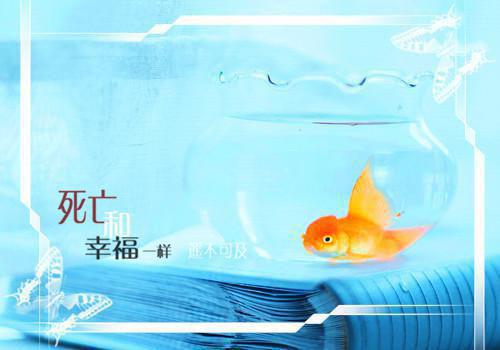 独家小说《夏薇澜唐嘉奕》夏薇澜唐嘉奕全文免费阅读无弹窗_夏薇澜唐嘉奕番外最新小说（夏薇澜唐嘉奕）