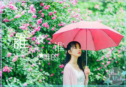 江初絮陆迟全文(江初絮陆迟）全文免费阅读无弹窗大结局_裴淮之江初絮陆迟江柚絮后续最新章节列表（江初絮陆迟全文）