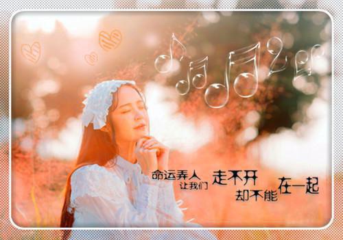 赵玥白岐免费（魏云帆楚楽）全文免费阅读无弹窗大结局_赵玥白岐免费最新章节列表（魏云帆楚楽）