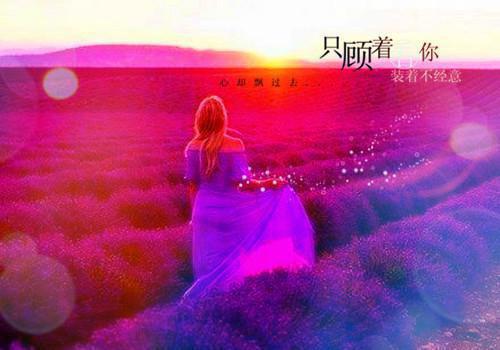 林默周楠大结局在线阅读 男友看到AI扩图后，他疯了全本免费看