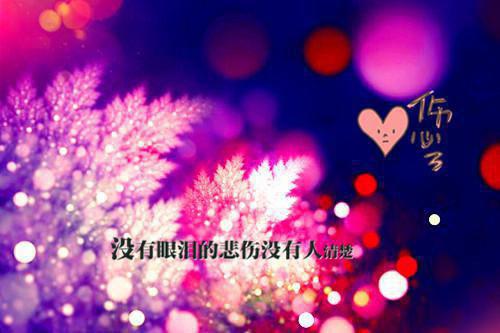 陈婉宁秦观赫佚名小说全文免费阅读