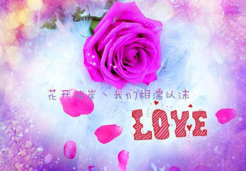 江尤絮陆辞小说(江尤絮陆辞)全文免费阅读无弹窗大结局_(江尤絮陆辞小说大结局)最新章节列表（江尤絮陆辞小说）