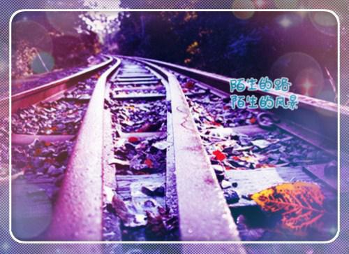 踹男人，领战功，满朝文武求她回京（踹男人，领战功，满朝文武求她回京）全文免费阅读无弹窗大结局_(踹男人，领战功，满朝文武求她回京免费阅读)踹男人，领战功，满朝文武求她回京无弹窗最新章节列表（踹男人，领战功，满朝文武求她回京）