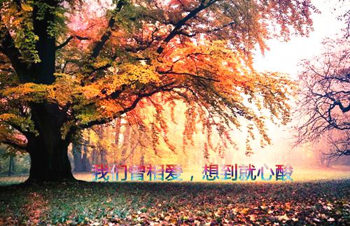 晏隋蒋琬勒然（生命最后三年，高冷总裁妻子疯狂报复我！）全文在线晏隋蒋琬勒然读无弹窗结局_（生命最后三年，高冷总裁妻子疯狂报复我！晏隋蒋琬勒然）生命最后三年，高冷总裁妻子疯狂报复我！结局章节列表（晏隋蒋琬勒然）