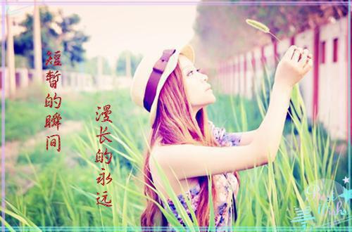 蛊女：我送变心夫君下地狱小说(南珍白辰)全文免费阅读无弹窗大结局_(蛊女：我送变心夫君下地狱)南珍白辰免费阅读最新章节列表(南珍白辰)