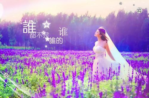 （彭雨棠严嘉荣）全文免费阅读无弹窗大结局_（严嘉荣彭雨棠阅读无弹窗）彭雨棠严嘉荣最新章节列表（严嘉荣彭雨棠）