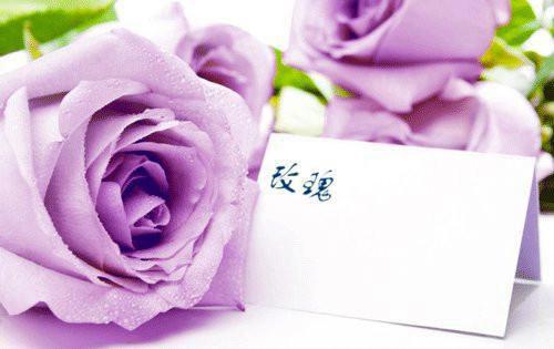 文幼兰贺砚庭（文幼兰贺砚庭）全文免费阅读无弹窗大结局_文幼兰贺砚庭免费最新章节列表（文幼兰贺砚庭）