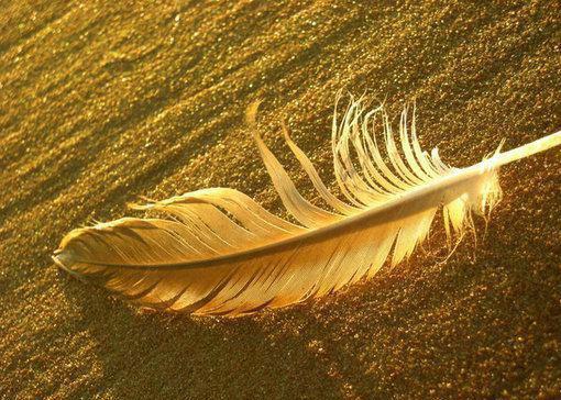 韩静云靳元礼的小说免费阅读（韩静云靳元礼的小说免费阅读）全文免费阅读大结局 （韩静云靳元礼的小说免费阅读）好书推荐