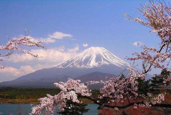 谁言酸梅甘小说 谁言酸梅甘草雨田