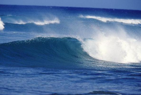 小陆(圆梦风暴)全文免费阅读无弹窗大结局_(圆梦风暴)小陆无弹窗最新章节列表(小陆)