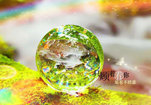 苏晗陆齐宣书荒热文推荐（陆齐宣苏晗）全文免费阅读无弹窗大结局_苏晗陆齐宣最新章节列表（陆齐宣苏晗）