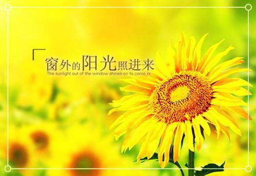 陈妙瞳江星辞小说热火宝藏文推荐（陈妙瞳江星辞）全文免费阅读无弹窗_陈妙瞳江星辞小说全章节目录阅读（陈妙瞳江星辞小说陈妙瞳江星辞）