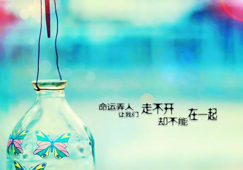 陆逸琛宋明鸢（宋明鸢陆逸琛）全文免费阅读无弹窗大结局_（陆逸琛宋明鸢）宋明鸢陆逸琛最新章节列表（宋明鸢陆逸琛）