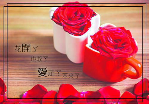 缠爱今生要定你免费阅读（舒渺孟聿川）全文免费阅读无弹窗大结局_ (舒渺孟聿川免费阅读)最新章节列表（舒渺孟聿川）