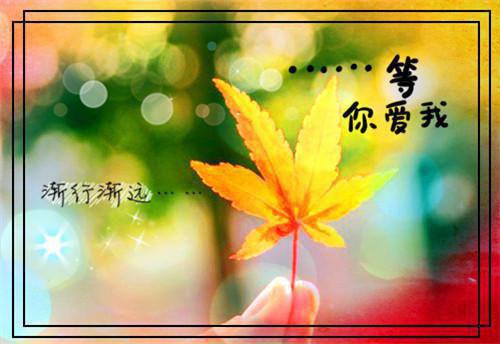 尚凌枕安一宁小说（尚凌枕安一宁小说）全文免费阅读无弹窗大结局_尚凌枕安一宁最新章节列表（尚凌枕安一宁小说）