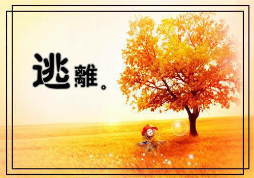 段黎黎宋时野是什么小说 段黎黎宋时野全本免费阅读