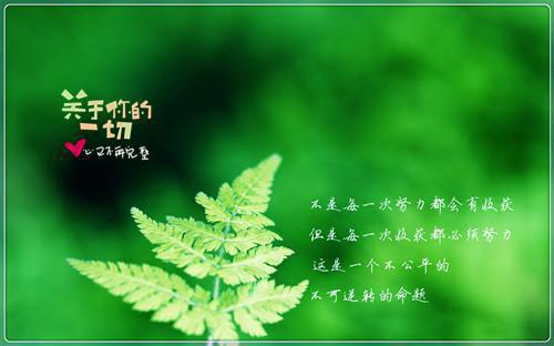 激励学习口号标语大全