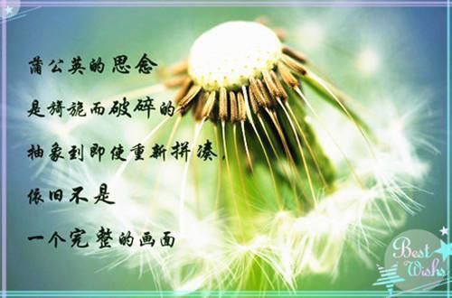 有丰富的心灵，才有悠闲的生活
