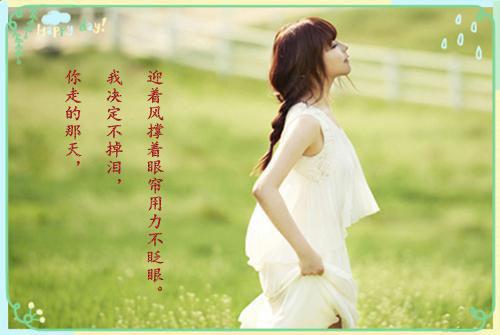 阮知秋林易舟免费全文 阮知秋林易舟小说在线阅读