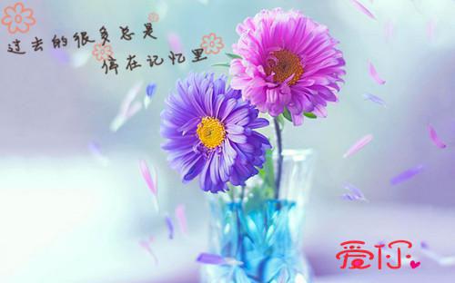 白夏晚陆行知小说全文阅读-（白夏晚陆行知）小说全文免费阅读无弹窗大结局