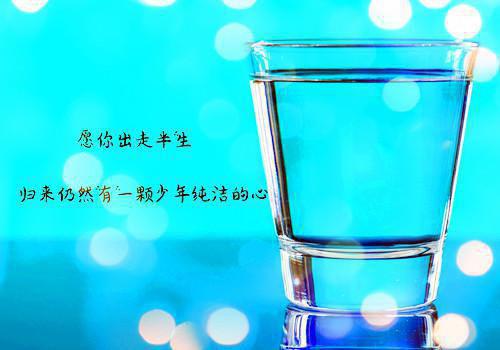 (番外)+(全文)离翎月离翎舟全文免费（离翎舟离翎月 ）全文免费阅读无弹窗大结局_(离翎月离翎舟)最新章节列表（离翎舟离翎月 ）