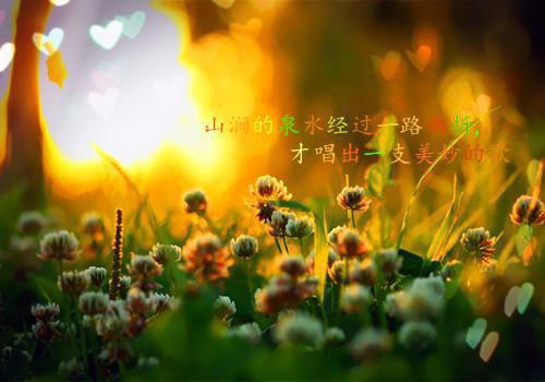 顾影谢遇程完结（谢遇程顾影）全文免费阅读无弹窗大结局_顾影谢遇程完结最新章节列表（谢遇程顾影）
