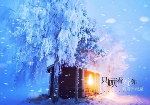 发现恶魔是网恋对象后她只想逃离热辣必读宝藏言情文推荐（谢其昭苏棉槿）全文免费阅读无弹窗大结局_(发现恶魔是网恋对象后她只想逃离)最新章节列表（谢其昭苏棉槿）