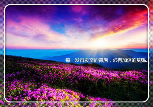 写景的抒情散文5篇
