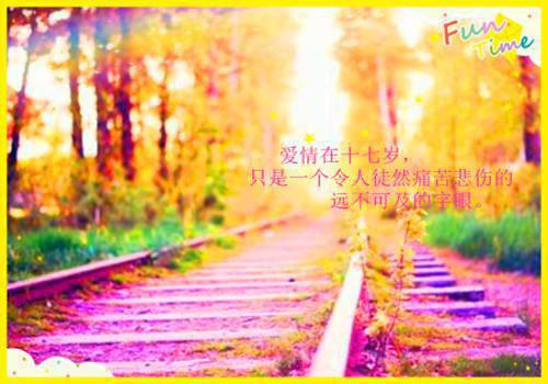 改写木兰诗搞笑版3篇