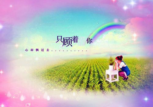 夏七夕厉少爵小说 夏七夕厉少爵全文阅读