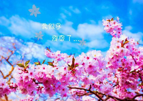 妻子凯旋归来却身怀六甲全文免费阅读（林沐川江浮玉）全文免费阅读无弹窗大结局_(林沐川江浮玉)妻子凯旋归来却身怀六甲免费阅读无弹窗最新章节列表（林沐川江浮玉）