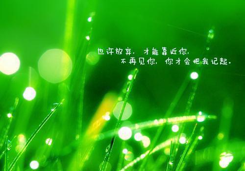 元宵节中奖6千，老板却让我花5万买单：全文+后续+结局（唐悠悠陈可欣）最新章节列表_元宵节中奖6千，老板却让我花5万买单：全文+后续+结局（唐悠悠陈可欣）全文+后续+结局在线阅读