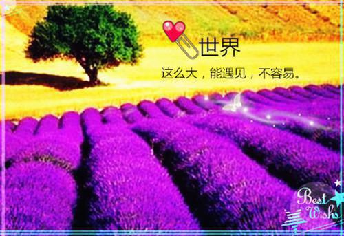 安奈月邢舟(邢舟安奈月)全文免费阅读无弹窗(邢舟安奈月)安奈月邢舟全本小说