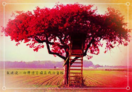 小说被赶离家后，我和豪门阔少闪婚了第3章完整版阅读