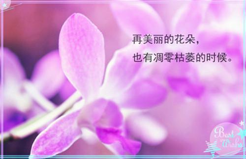 林琪琪郁竹热门小说在线阅读（第11-20章） 努力常事全网推荐