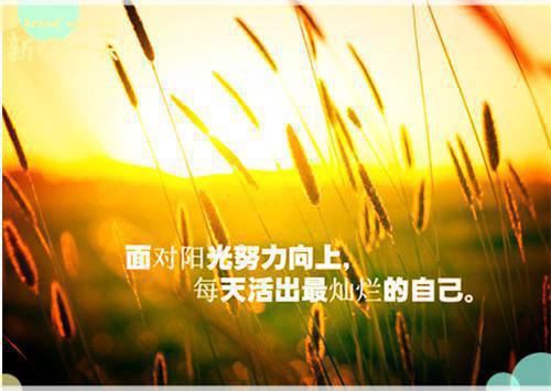 清甜牛马全文免费尤晓曲晏读无弹窗大结局_（尤晓曲晏清甜牛马）清甜牛马最新章节列表（尤晓曲晏）