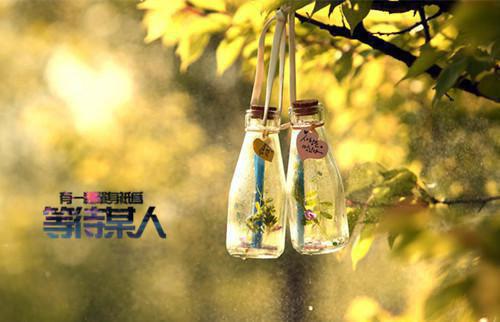 江晚茵陆礼(江晚茵陆礼小说)全文免费阅读无弹窗大结局_(江晚茵陆礼小说全文大结局)江晚茵陆礼小说最新章节列表（江晚茵陆礼）