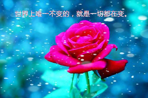 元若黎周慕岐免费txt（周慕岐元若黎）全文免费阅读无弹窗大结局_元若黎周慕岐免费免费阅读最新章节列表（周慕岐元若黎）