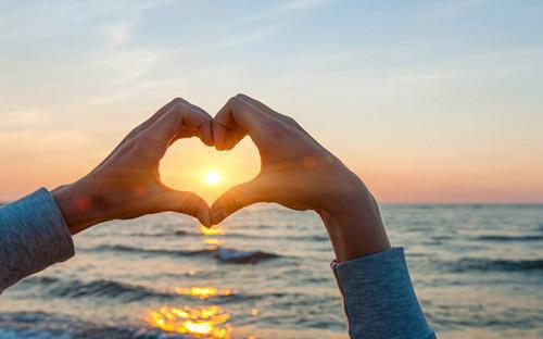 （反派剧本）全文免费阅读无弹窗大结局_（反派剧本阅读无弹窗）苏晨最新章节列表（苏晨）