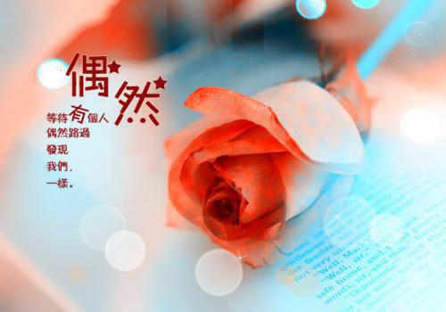 穿书后我从女配成了男主的白月光（林笙谢寅）小说全文免费阅读无弹窗大结局_林笙谢寅全文免费阅读
