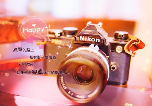 跌入泥潭app内免费阅读虐渣文(厉行舟南初)跌入泥潭app内免费阅读_跌入泥潭app内免费阅读免费阅读