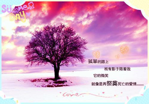 公司端午节慰问信范文7篇