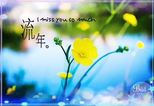 许怀夏盛聿宋绮的小说 许怀夏盛聿宋绮全文免费阅读