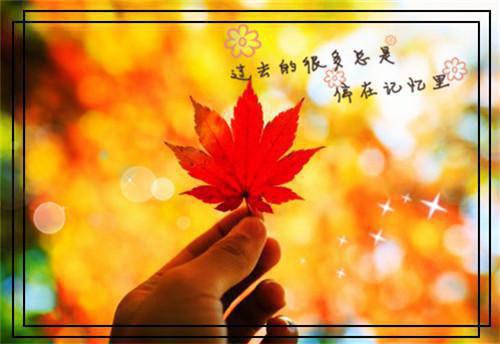 冉卿陌楚穆宸全文（冉卿陌楚穆宸全文）全文免费阅读无弹窗大结局_冉卿陌楚穆宸最新章节列表（冉卿陌楚穆宸全文）