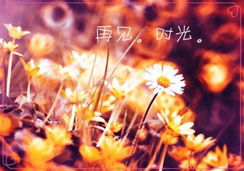 寇烟裴修周治学全文免费阅读最新 寇烟裴修周治学