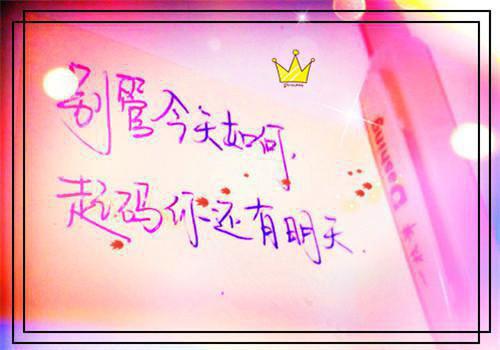 宋言溪顾景洲全文最新章节正版小说免费阅读