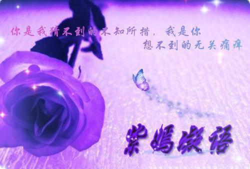 谢敬淮徐秋池热推（徐秋池谢敬淮）完整版小说阅读_谢敬淮徐秋池全文免费阅读（徐秋池谢敬淮）