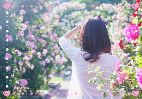 今日热读（苏心璃长渊）原来，她命中注定生生世世不得所爱全集完整版已完结大结局_苏心璃长渊最新热点全文在线阅读（原来，她命中注定生生世世不得所爱）