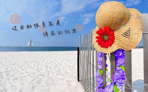 叶迟宛陈见津全本资源（陈见津叶迟宛）在线阅读全文无删减_叶迟宛陈见津全文免费阅读无弹窗大结局（陈见津叶迟宛）